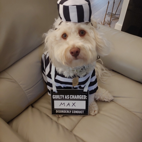 Meet your Posher, June - Picture 6 of 7